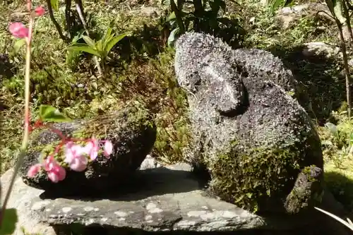 実相院門跡の狛犬