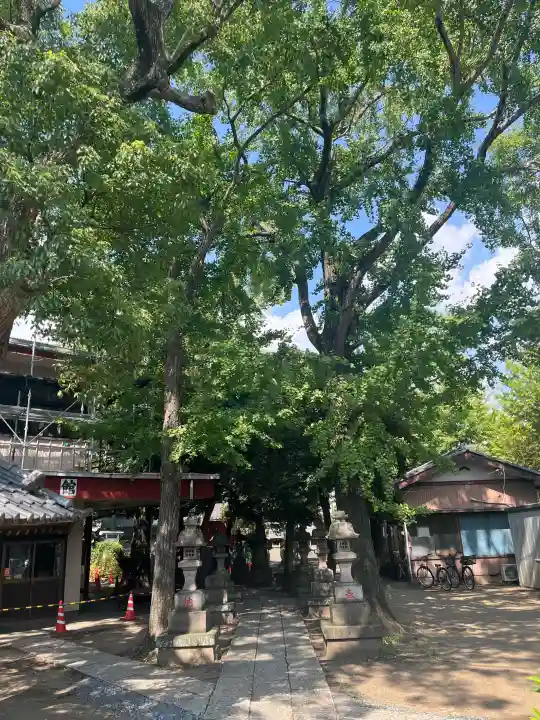 今井神社の{uncategorized: "未分類", other: "その他", undefined: "問題あり", building: "その他建物", grave: "お墓", sacred_gate: "鳥居", guardian: "狛犬", statue: "像", buddha: "仏像", history: "歴史", nature: "自然", garden: "庭園", animal: "動物", pagoda: "塔", temizu: "手水舎", mountain_gate: "山門・神門", sanctuary: "本殿・本堂", subordinate: "末社・摂社", art: "芸術", scenery: "景色", jizo: "地蔵", ema: "絵馬", goshuin: "御朱印", omikuji: "おみくじ", items: "授与品その他", amulet: "お守り", goshuincho: "御朱印帳", eats: "食事", festival: "お祭り", votive_dance: "神楽", shichigosan: "七五三参", wedding: "結婚式", experience: "体験その他", initially: "初詣", around: "周辺", anti_infection: "感染症対策"}