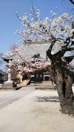 総願寺の本殿