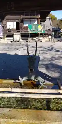 西教寺の手水舎