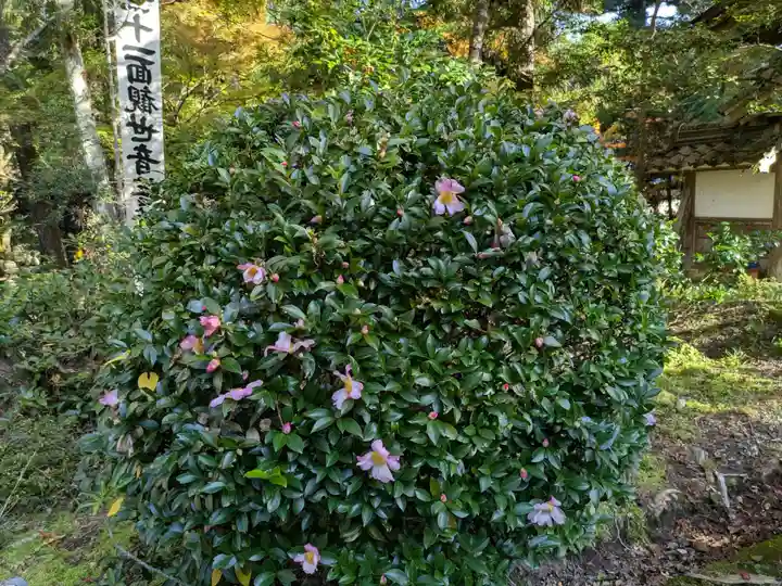 華厳寺(岐阜県)
