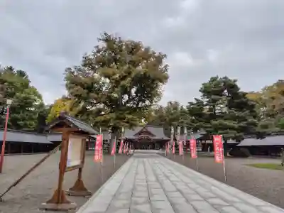 北海道護國神社の七五三参