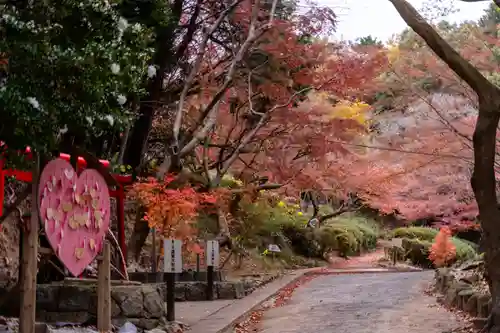 宮地嶽神社(福岡県)