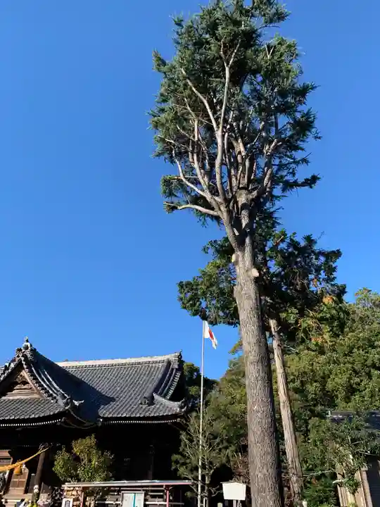 牟呂八幡宮の自然