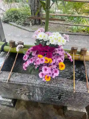 善峯寺(京都府)