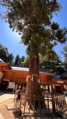 穂高神社本宮(長野県)