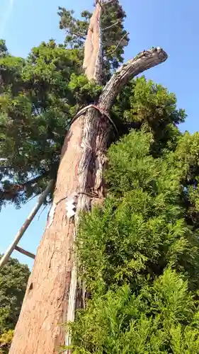 吉備津彦神社(岡山県)