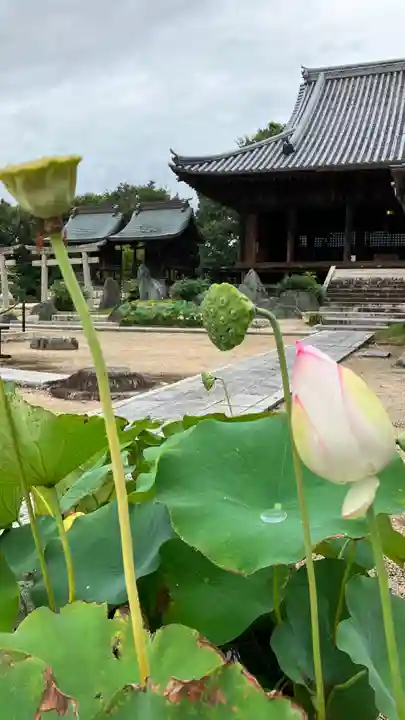 餘慶寺のその他建物