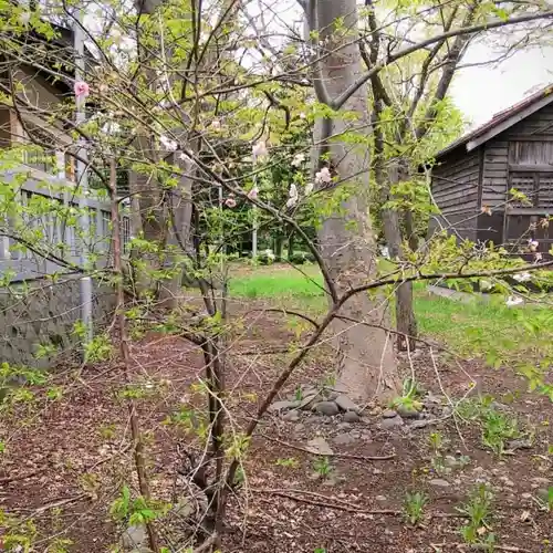 彌彦神社　(伊夜日子神社)の自然