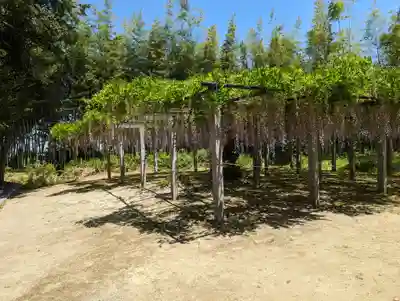 志那神社(滋賀県)