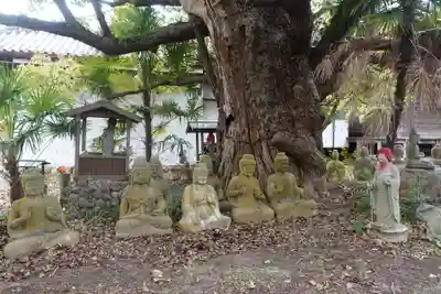 志度寺(香川県)