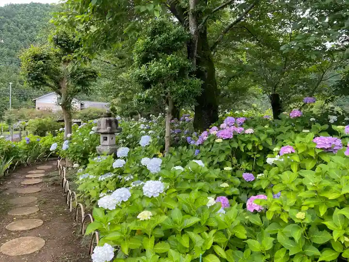 長念寺(埼玉県)