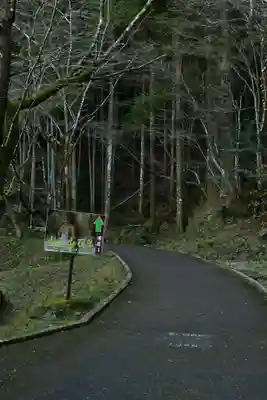 臼杵石仏(大分県)