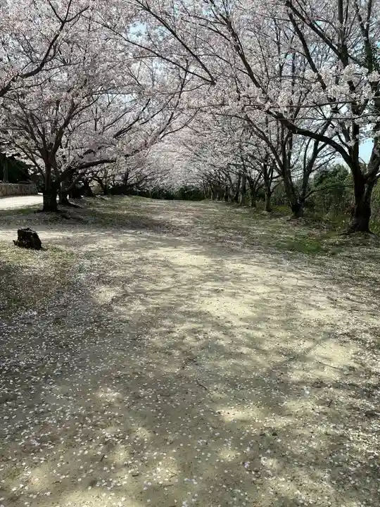 貴船神社の自然