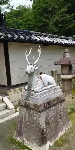 立木神社の狛犬