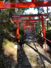 賀茂別雷神社（上賀茂神社）の鳥居