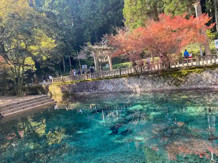 嚴島神社(山口県)