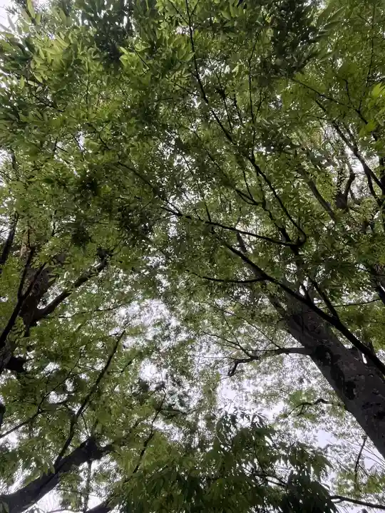 前川神社(埼玉県)