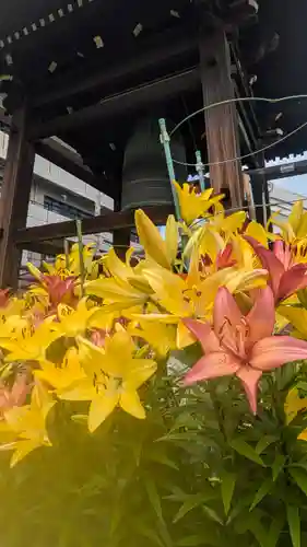 正福寺(大阪府)