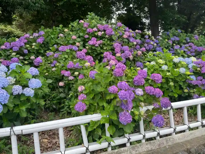 性海寺(愛知県)
