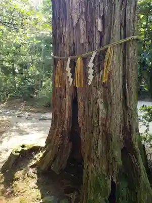 惣社白山神社の自然
