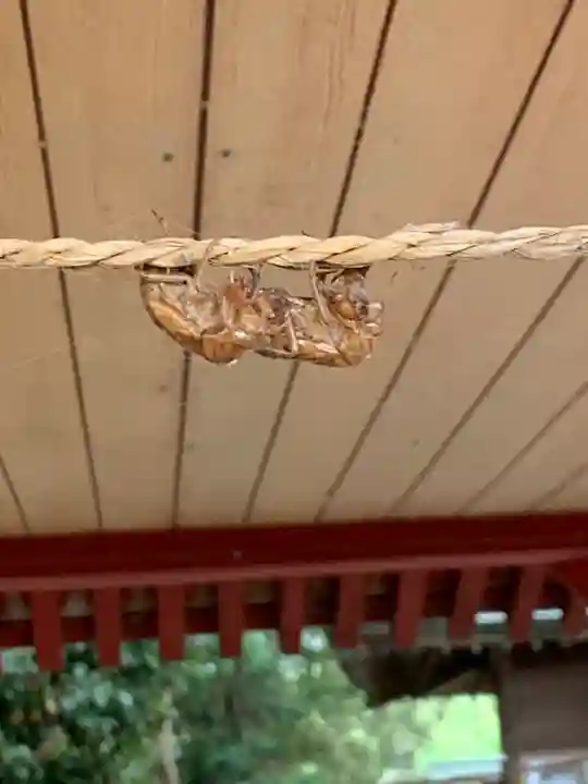 胸形神社(栃木県)