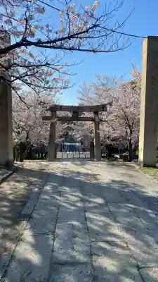 飛幡八幡宮の{uncategorized: "未分類", other: "その他", undefined: "問題あり", building: "その他建物", grave: "お墓", sacred_gate: "鳥居", guardian: "狛犬", statue: "像", buddha: "仏像", history: "歴史", nature: "自然", garden: "庭園", animal: "動物", pagoda: "塔", temizu: "手水舎", mountain_gate: "山門・神門", sanctuary: "本殿・本堂", subordinate: "末社・摂社", art: "芸術", scenery: "景色", jizo: "地蔵", ema: "絵馬", goshuin: "御朱印", omikuji: "おみくじ", items: "授与品その他", amulet: "お守り", goshuincho: "御朱印帳", eats: "食事", festival: "お祭り", votive_dance: "神楽", shichigosan: "七五三参", wedding: "結婚式", experience: "体験その他", initially: "初詣", around: "周辺", anti_infection: "感染症対策"}