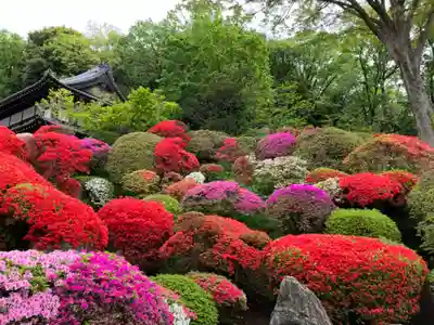 等覚院(神奈川県)
