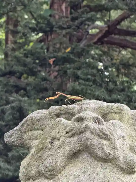 角田神社(北海道)
