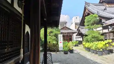 行願寺（革堂）(京都府)