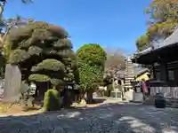 花蔵院(千葉県)
