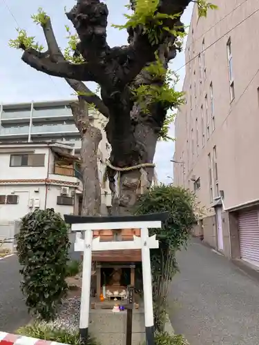 白光大神 (大阪府)