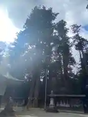 伊和神社(兵庫県)