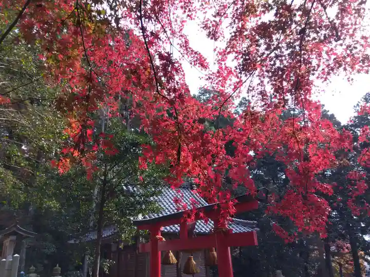 等波神社(滋賀県)