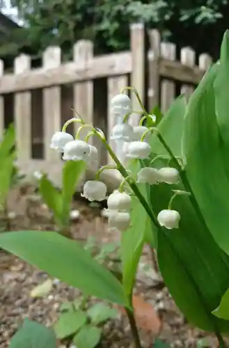阿邪訶根神社の自然