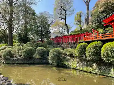 乙女稲荷神社(東京都)