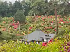 塩船観音寺(東京都)