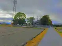 諏訪神社(今川町)の自然