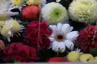 豊景神社の手水舎