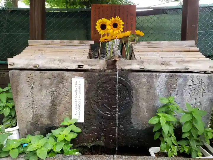 諏訪神社(東京都)
