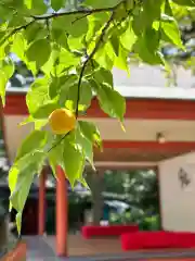 前原御嶽神社(千葉県)