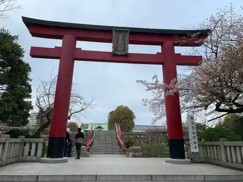 神田神社（神田明神）の鳥居