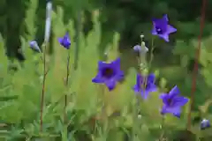 三春大神宮の庭園