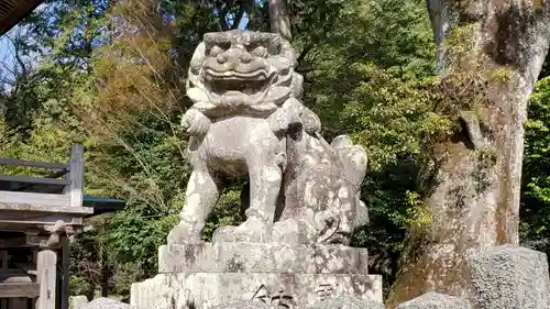 荒穂神社の狛犬