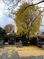 大鳥神社(東京都)