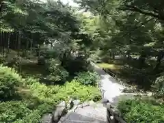 天龍寺の庭園