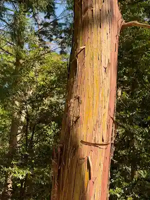 大麻比古神社(徳島県)