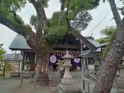 大鳥羽衣濱神社(大阪府)