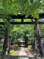 鶴ヶ丸八幡神社(埼玉県)