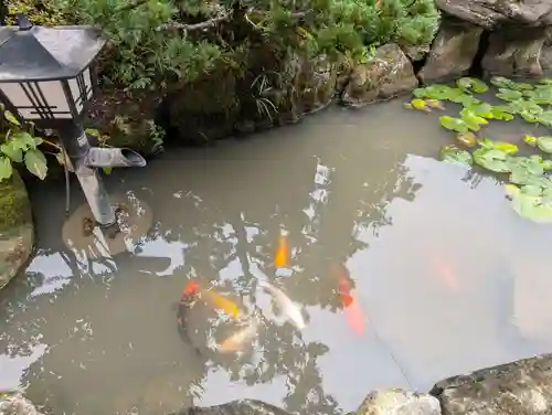 高屋敷稲荷神社(福島県)